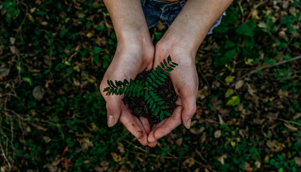 Slow - Sustainable - Resilient Today, Flourishing Tomorrow