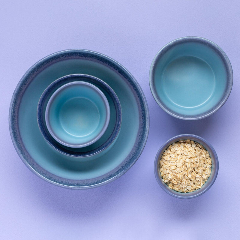 Plane Family Serving Bowl